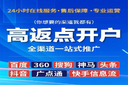 提升SEM投放转化率的实战案例分析